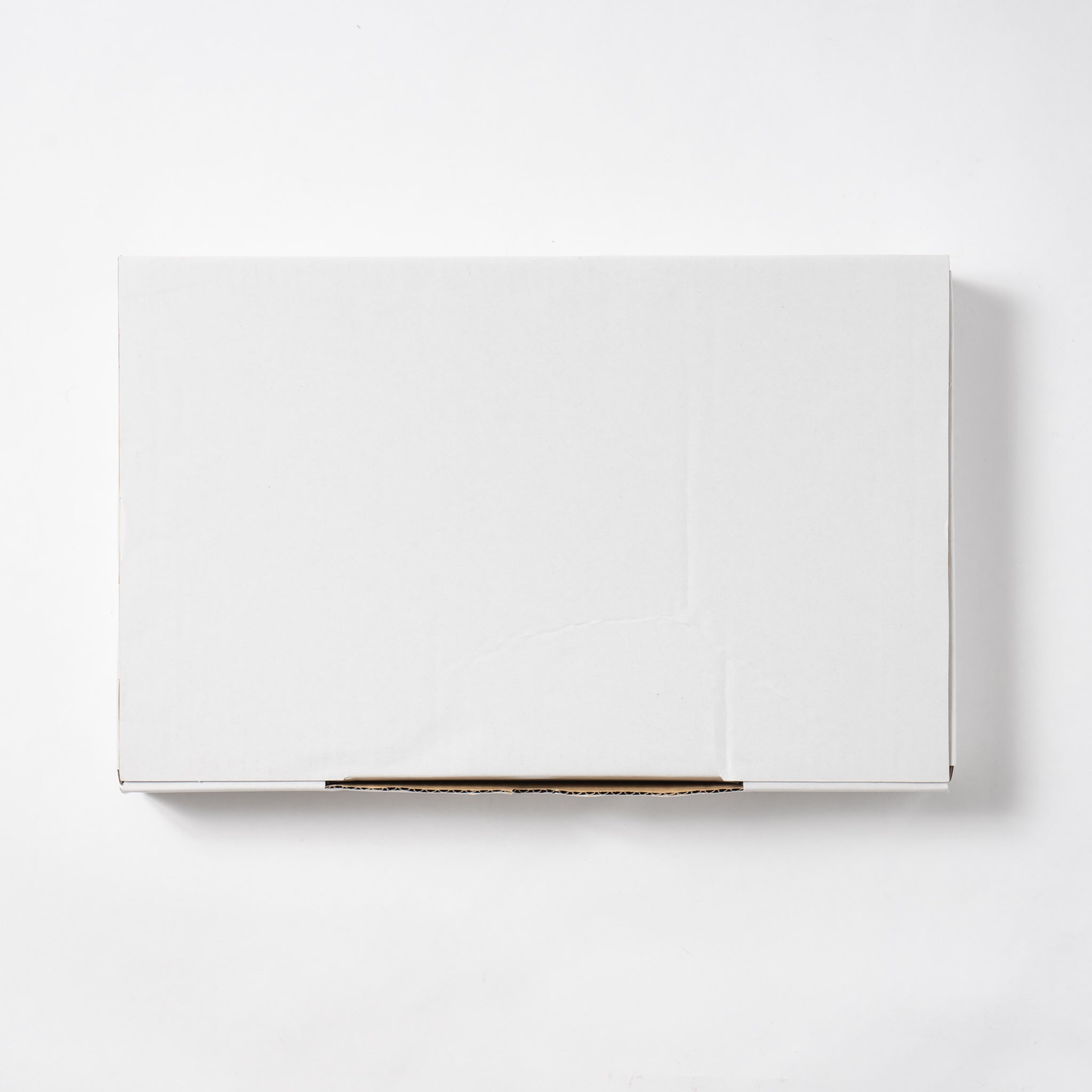 アーキテクト硬質樹脂15MP A4(10枚)